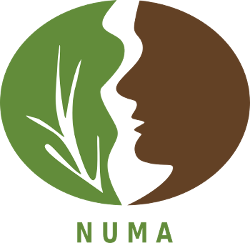 Logo do NUMA